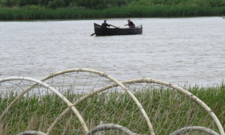 Începe prohibiţia generală a pescuitului în România