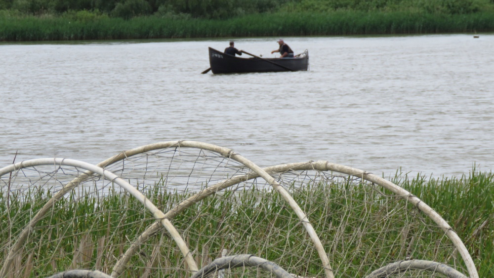 Începe prohibiţia generală a pescuitului în România