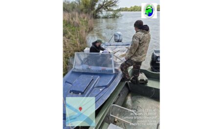 Controale pe braţul Sfântu Gheorghe: Pescar amendat cu 4.000 de lei şi 90 kg de scrumbie confiscate