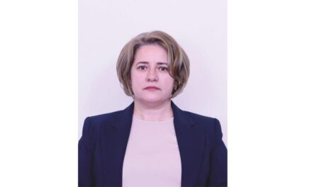 Deputatul de Tulcea Elena-Laura Toader cere introducerea urgentă a unor criterii clare de performanţă pentru miniştri şi instituţii publice