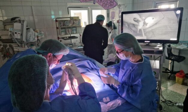 Spitalul Judeţean de Urgenţă Tulcea a găzduit un eveniment dedicat chirurgiei oncoplastice a sânului