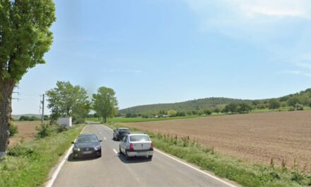 Investiţie de 86 de milioane de lei pentru modernizarea DJ222 Enisala – Sălcioara – Vişina