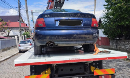 Poliţia Locală Tulcea cere sprijinul cetăţenilor pentru identificarea maşinilor abandonate