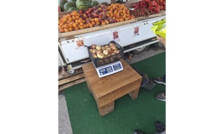 Amendă de 10.000 de lei şi peste o tonă de fructe şi legume confiscată de Poliţia Locală Tulcea