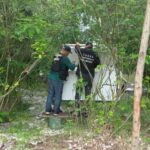 Controale ale Gărzii de Mediu în Delta Dunării: Sturioni găsiţi într-o ladă frigorifică a unui operator economic din domeniul HoReCa