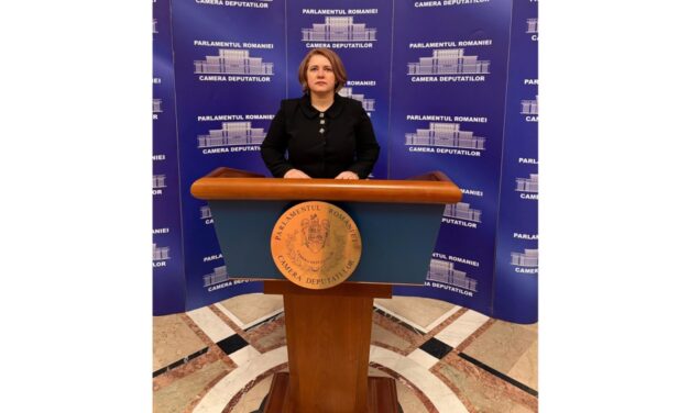 Deputatul de Tulcea Elena-Laura Toader cere măsuri coerente pentru stimularea economiei şi protejarea nivelului de trai