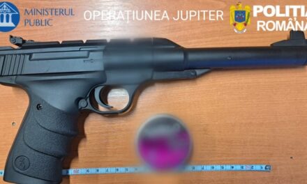 Armă neletală ilegală şi muniţie, descoperite după o percheziţie în Tulcea