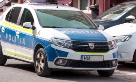 Bărbat din Sulina, arestat preventiv după ce a ameninţat poliţiştii şi a avariat o autospecială de poliţie