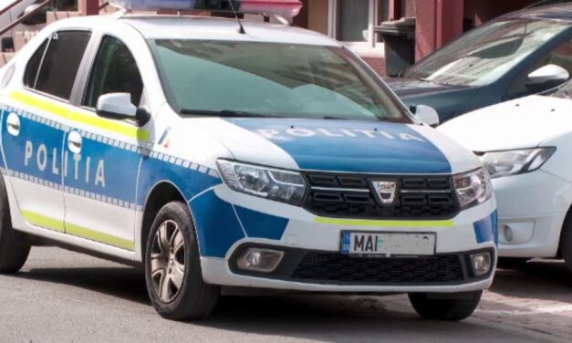 Bărbat din Sulina, arestat preventiv după ce a ameninţat poliţiştii şi a avariat o autospecială de poliţie