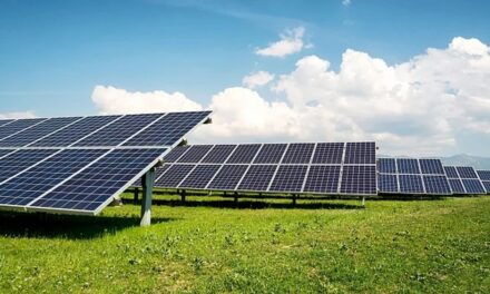 Primăria Tulcea a lansat licitaţia pentru construirea unui parc fotovoltaic de peste două milioane de euro