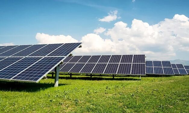Primăria Tulcea a lansat licitaţia pentru construirea unui parc fotovoltaic de peste două milioane de euro