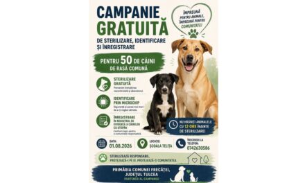 Campanie gratuită de sterilizare şi identificare a câinilor de rasă comună, la Frecăţei