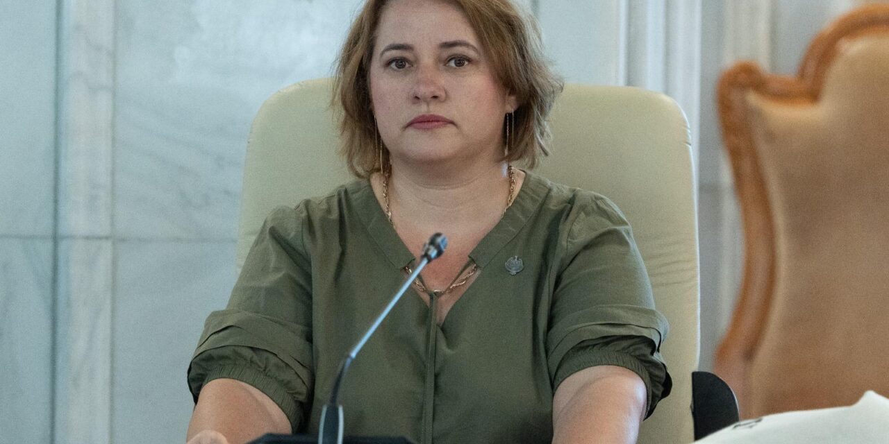 Deputatul S.O.S. România Elena-Laura Toader:  „Puterea mută banii de la cei care muncesc către cei care controlează politic instituţiile”