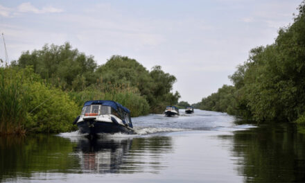 Limita de 5 km/h pentru ambarcaţiuni în Delta Dunării, contestată de operatorii din turism, transportatori şi parlamentari