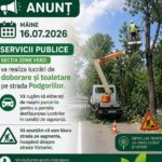 Lucrări de doborâre şi toaletare a arborilor pe strada Podgoriilor, astăzi. Şoferii sunt rugaţi să elibereze parcările