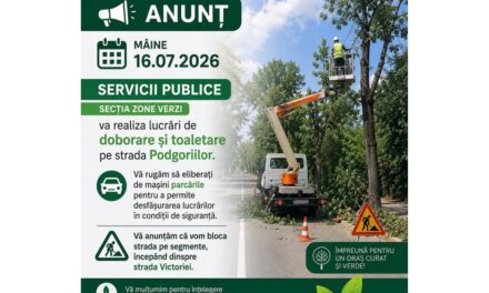 Lucrări de doborâre şi toaletare a arborilor pe strada Podgoriilor, astăzi. Şoferii sunt rugaţi să elibereze parcările
