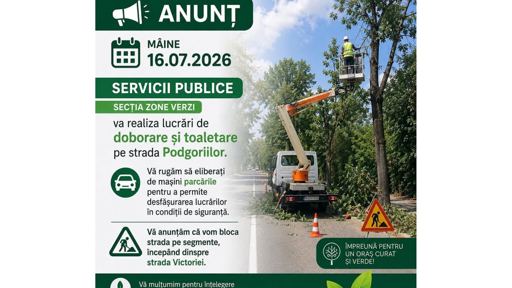 Lucrări de doborâre şi toaletare a arborilor pe strada Podgoriilor, astăzi. Şoferii sunt rugaţi să elibereze parcările