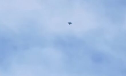 MApN: Dronă doborâtă de un pilot român într-o zonă nelocuită din judeţul Buzău