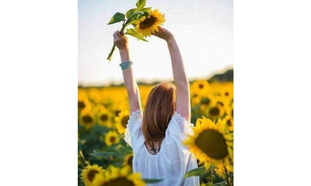 Primăria Topolog organizează un concurs de fotografie