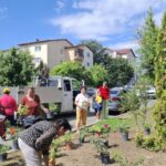 Tulcenii, încurajaţi să-şi îngrijească grădinile din jurul blocurilor. Primăria se oferă să asigure apa pentru udat