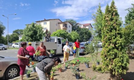 Cinci grădini urbane pilot au fost amenajate în Tulcea prin proiectul european UCare