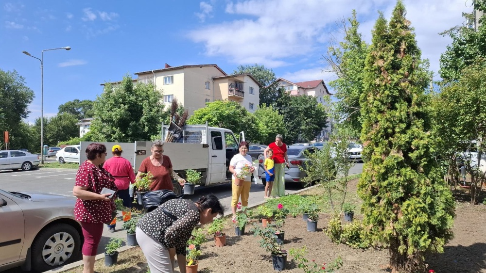 Cinci grădini urbane pilot au fost amenajate în Tulcea prin proiectul european UCare