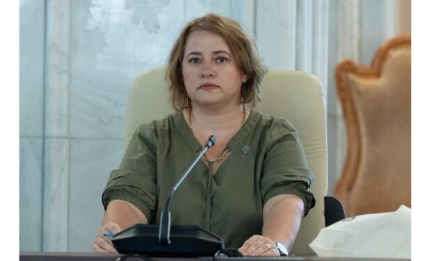 Deputatul S.O.S. România Elena-Laura Toader:  „Puterea mută banii de la cei care muncesc către cei care controlează politic instituţiile”