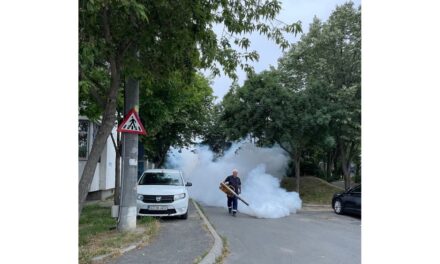 Începe o nouă etapă de dezinsecţie în municipiu. Patru zile de intervenţii împotriva ţânţarilor