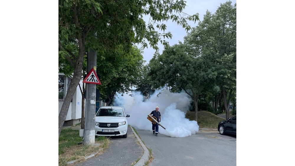 Începe o nouă etapă de dezinsecţie în municipiu. Patru zile de intervenţii împotriva ţânţarilor