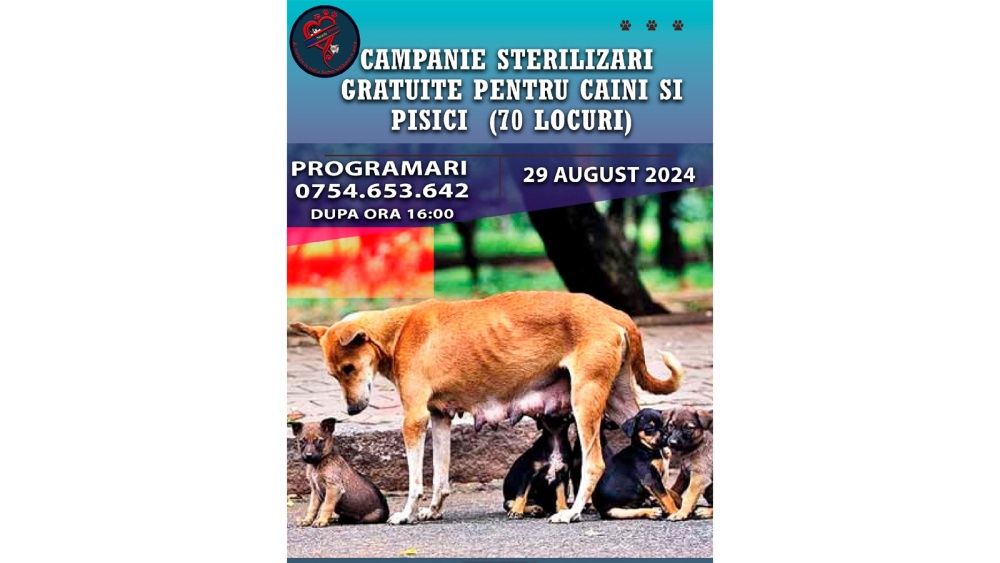 Campanie gratuită de sterilizare pentru câini şi pisici, la Chilia Veche