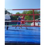 Spectacol pugilistic în aer liber: Piaţa Civică din Tulcea devine ringul de box al elitei la Cupa Dunării 2026