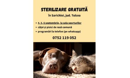 Sterilizare gratuită pentru câini şi pisici, la Sarichioi