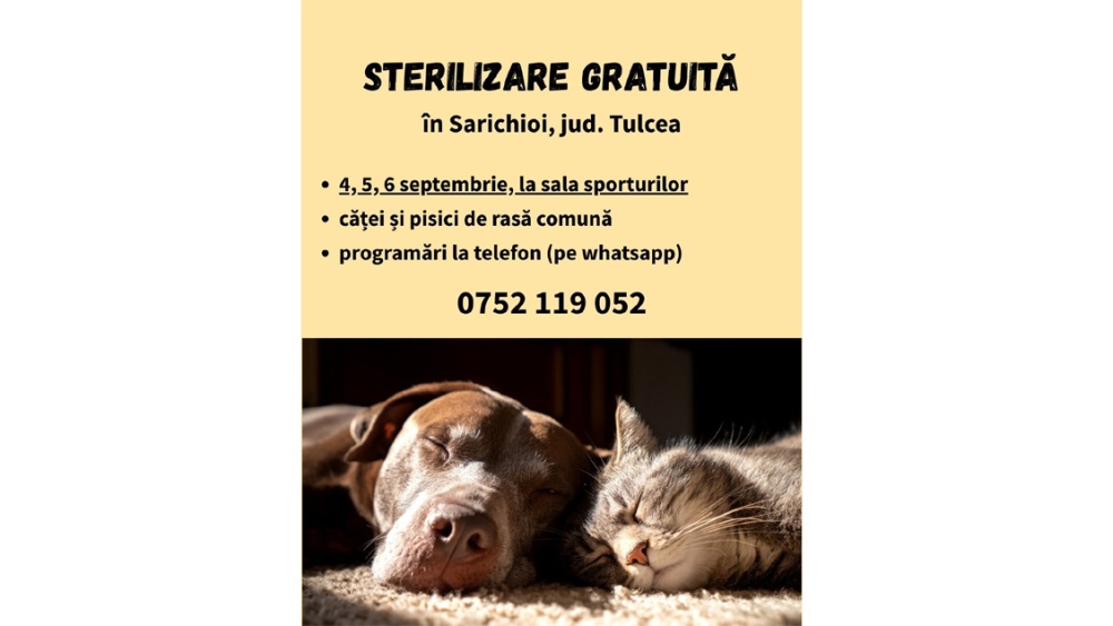 Sterilizare gratuită pentru câini şi pisici, la Sarichioi