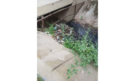 Aproximativ trei tone de deşeuri, descoperite într-un canal pluvial din zona Vest