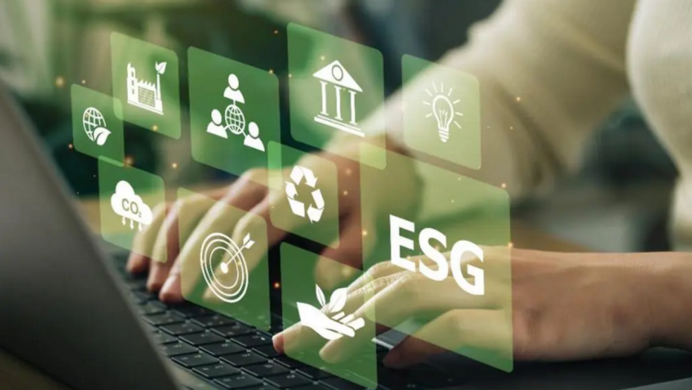 Comuna Beidaud îşi va gestiona digital spaţiile verzi prin suport IT specializat