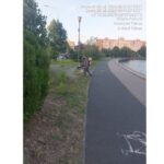 Campanie de dezinsecţie în municipiul Tulcea, în perioada 25 – 31 august 2026