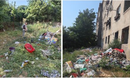 „Ghetou” periculos în Tulcea: Un operator de salubritate a fost bătut când curăţa mizeria de pe strada Labirintului. Deţinuţii şi firmele refuză să mai intre în zonă