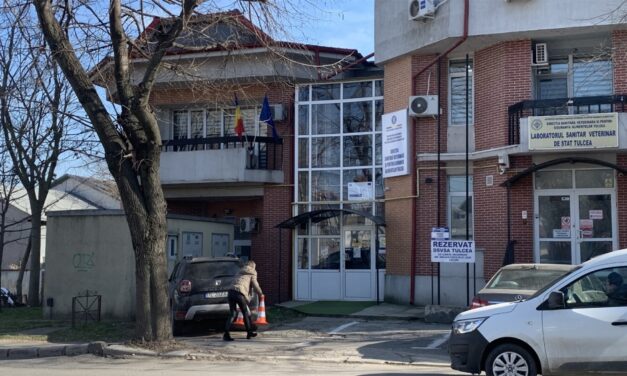 Investiţie de peste 6 milioane de lei în siguranţa alimentară din Tulcea: Laboratorul D.S.V.S.A. intră în consolidare seismică şi modernizare energetică