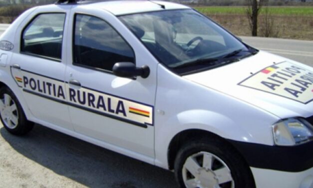 Schimbări la posturile de poliţie din Tulcea: IPJ scoate la concurs 11 funcţii de conducere în mediul rural