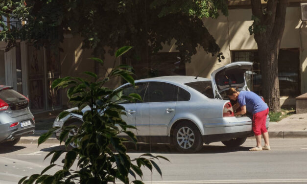 Servicii Publice Tulcea avertizează firmele şi instituţiile din Tulcea: se vând „magnolii portocalii” în numele societăţii