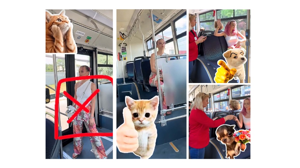 Transport Public Tulcea face educaţie pe Tik-Tok: o tânără cu părul roz îi învaţă pe călători regulile de bun-simţ în autobuze cu ajutorul stickerelor cu pisici şi căţei