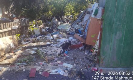 20 de tone de gunoi, ridicate cu hotărâre judecătorească: Primăria Tulcea a curăţat cu forţa un teren privat de pe strada Mahmudiei