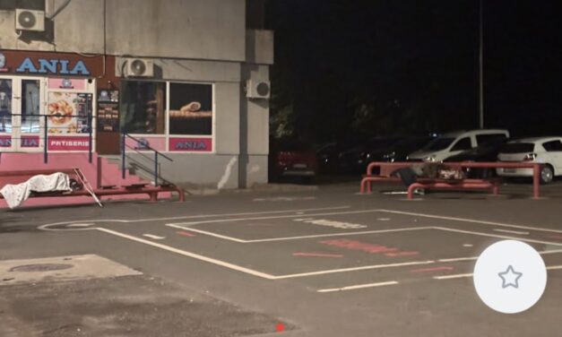 Ce mai reclamă tulcenii pe TulceaCityReport: semafoare care încurcă traficul, corcoduşi plantaţi în faţa blocului şi trotuare blocate de maşini