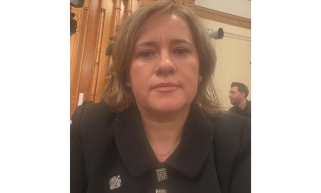 Deputatul S.O.S. România Elena Laura Toader cere măsuri urgente pentru copiii cu dizabilităţi: „Diagnosticul şi intervenţia timpurie nu sunt un lux, ci o necesitate”
