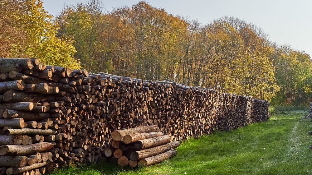 Lemne de foc pentru tulceni: Stoc de 13.000 mc în ocoalele silvice