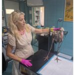Misiune specială pe lacul Ciuperca: Pompierii tulceni au salvat o barză rănită