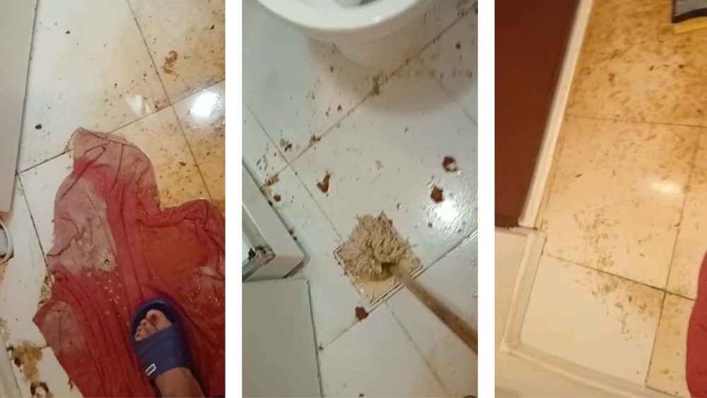 Când propria casă devine locul de care te temi. Povestea unei tulcence de 72 de ani: „Anul acesta este a treia oară când mă inund”