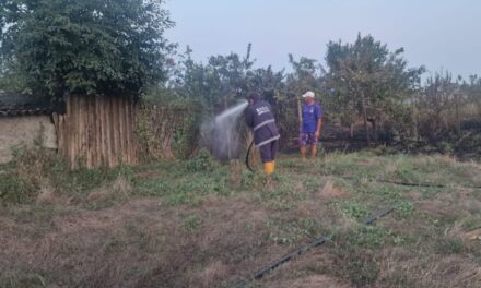 Incendiu de vegetaţie la Jurilovca: Flăcările s-au extins pe 1.500 de metri pătraţi. Apelul primarului Eugen Ion după intervenţia de urgenţă