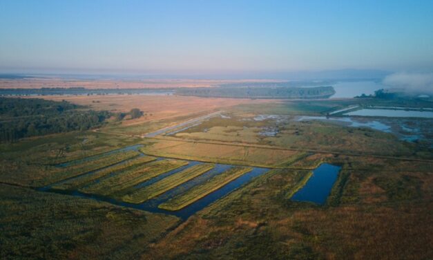 Peste 178 de hectare din Delta Dunării, la un pas de a fi introduse în circuitul agricol