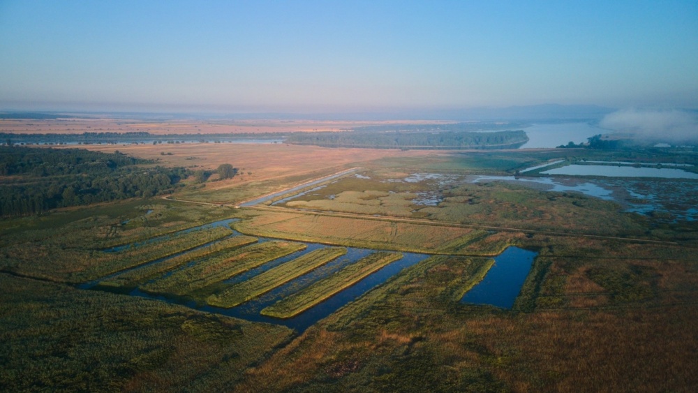 Peste 178 de hectare din Delta Dunării, la un pas de a fi introduse în circuitul agricol